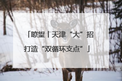 瞭望丨天津“大”招打造“双循环支点”