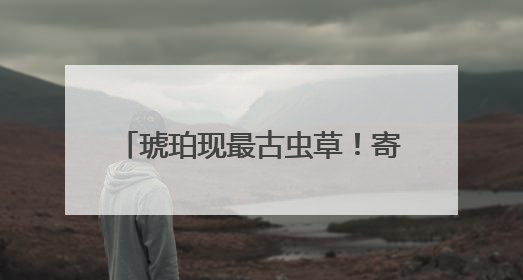 琥珀现最古虫草！寄生蚂蚁历史达亿年