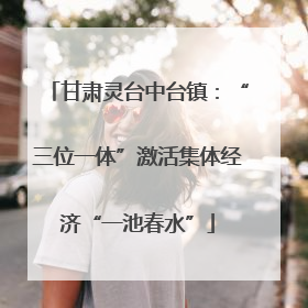 甘肃灵台中台镇：“三位一体”激活集体经济“一池春水”