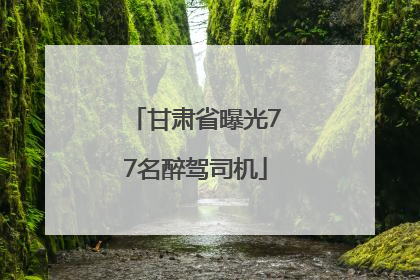 甘肃省曝光77名醉驾司机