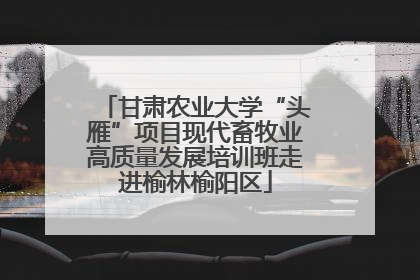 甘肃农业大学“头雁”项目现代畜牧业高质量发展培训班走进榆林榆阳区