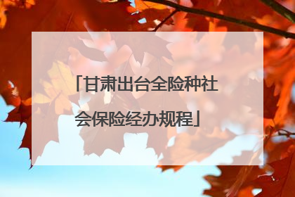 甘肃出台全险种社会保险经办规程