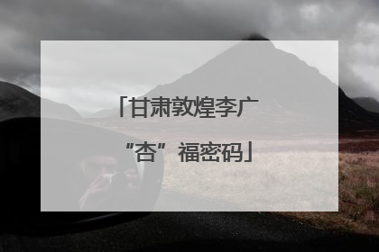 甘肃敦煌李广“杏”福密码