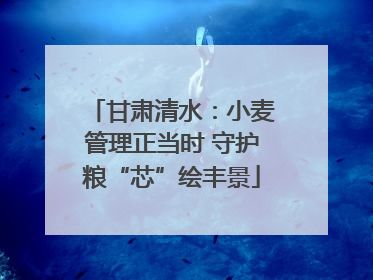 甘肃清水：小麦管理正当时 守护粮“芯”绘丰景