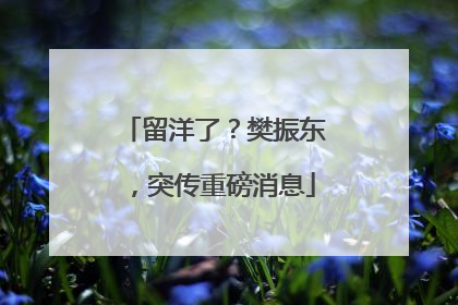 留洋了？樊振东，突传重磅消息