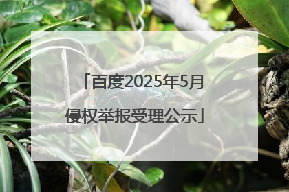 百度2025年5月侵权举报受理公示