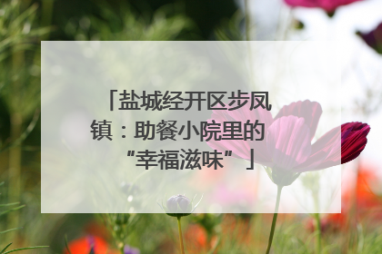 盐城经开区步凤镇：助餐小院里的“幸福滋味”