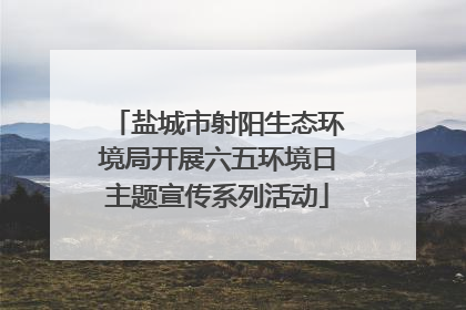 盐城市射阳生态环境局开展六五环境日主题宣传系列活动