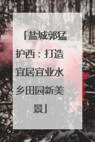 盐城郭猛护西：打造宜居宜业水乡田园新美景