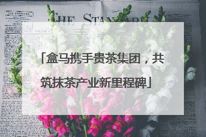 盒马携手贵茶集团，共筑抹茶产业新里程碑