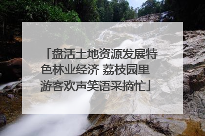 盘活土地资源发展特色林业经济 荔枝园里游客欢声笑语采摘忙