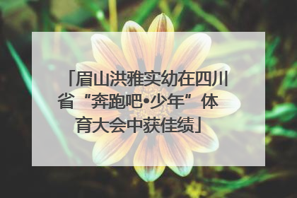 眉山洪雅实幼在四川省“奔跑吧•少年”体育大会中获佳绩