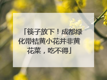 筷子放下！成都绿化带桔黄小花并非黄花菜，吃不得