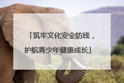 筑牢文化安全防线，护航青少年健康成长