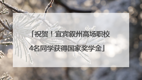 祝贺！宜宾叙州高场职校4名同学获得国家奖学金