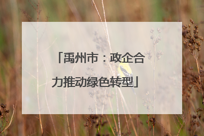 禹州市：政企合力推动绿色转型