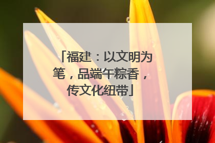 福建：以文明为笔，品端午粽香，传文化纽带