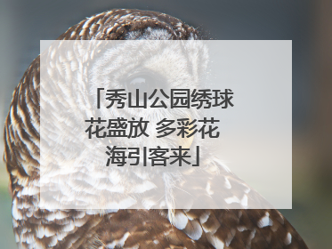 秀山公园绣球花盛放 多彩花海引客来
