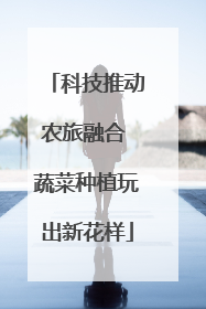 科技推动农旅融合 蔬菜种植玩出新花样