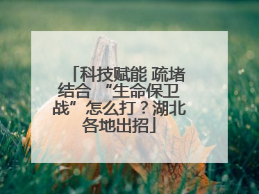 科技赋能 疏堵结合 “生命保卫战”怎么打？湖北各地出招