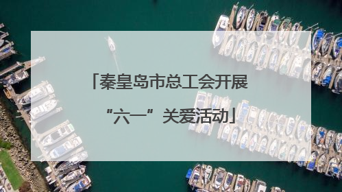 秦皇岛市总工会开展“六一”关爱活动