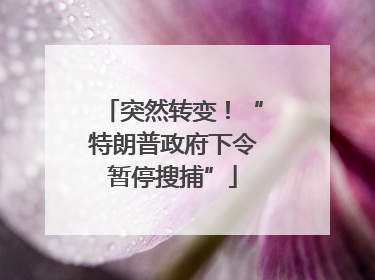 突然转变！“特朗普政府下令暂停搜捕”