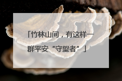 竹林山间，有这样一群平安“守望者”