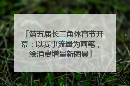 第五届长三角体育节开幕：以赛事流量为画笔，绘消费增量新图景