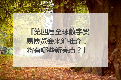 第四届全球数字贸易博览会来沪推介，将有哪些新亮点？