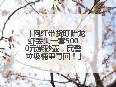 网红带货盱眙龙虾丢失一套5000元紫砂壶，民警垃圾桶里寻回！