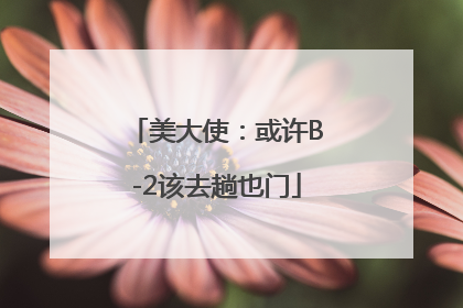 美大使：或许B-2该去趟也门