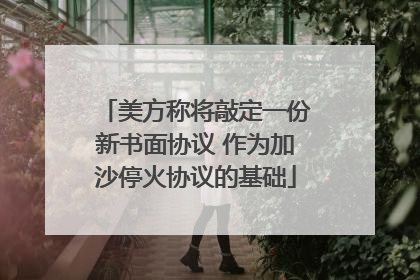 美方称将敲定一份新书面协议 作为加沙停火协议的基础