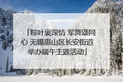 粽叶裹深情 军舞颂同心 无锡惠山区长安街道举办端午主题活动