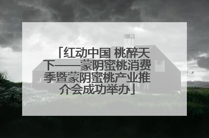 红动中国 桃醉天下——蒙阴蜜桃消费季暨蒙阴蜜桃产业推介会成功举办