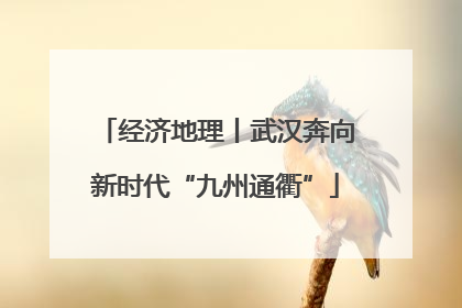经济地理丨武汉奔向新时代“九州通衢”