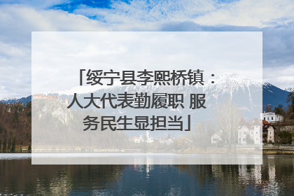 绥宁县李熙桥镇：人大代表勤履职 服务民生显担当