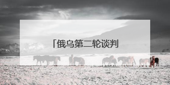 俄乌第二轮谈判结束后，乌总统泽连斯基首度发声