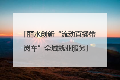 丽水创新“流动直播带岗车”全域就业服务