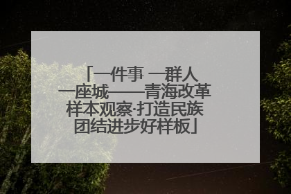 一件事 一群人 一座城——青海改革样本观察·打造民族团结进步好样板