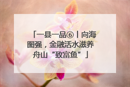 一县一品⑥丨向海图强，金融活水滋养舟山“致富鱼”
