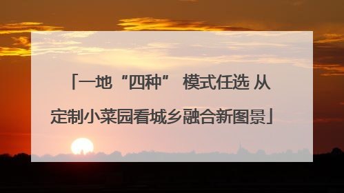 一地“四种” 模式任选 从定制小菜园看城乡融合新图景
