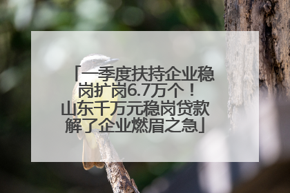 一季度扶持企业稳岗扩岗6.7万个！山东千万元稳岗贷款解了企业燃眉之急