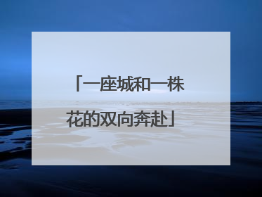 一座城和一株花的双向奔赴