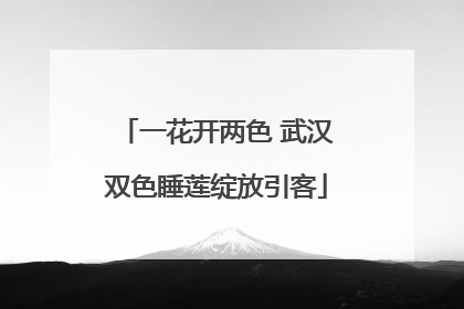 一花开两色 武汉双色睡莲绽放引客