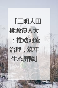 三明大田桃源镇人大：推动河流治理，筑牢生态屏障