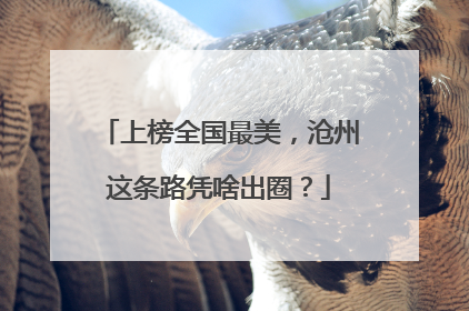 上榜全国最美，沧州这条路凭啥出圈？