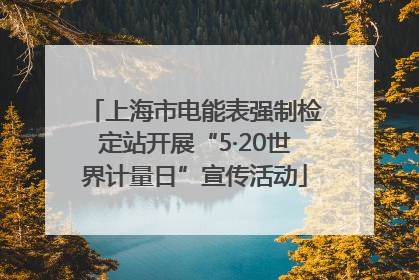 上海市电能表强制检定站开展“5·20世界计量日”宣传活动