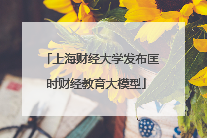 上海财经大学发布匡时财经教育大模型