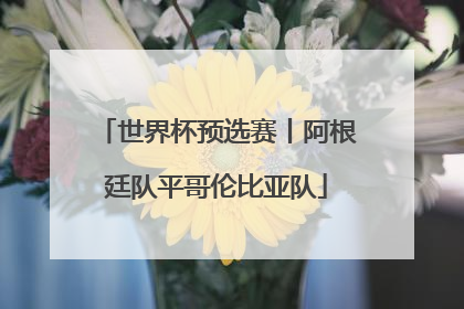 世界杯预选赛丨阿根廷队平哥伦比亚队