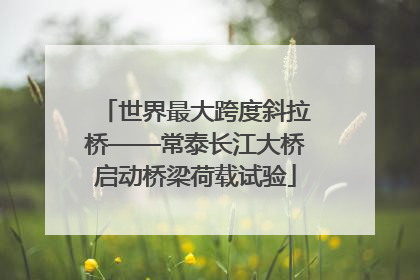 世界最大跨度斜拉桥——常泰长江大桥启动桥梁荷载试验